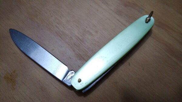 Vintage Single Blade Lark Pocket knife with brass bail – Light Green[Unused – Pristine Cond.] Collectible Knives